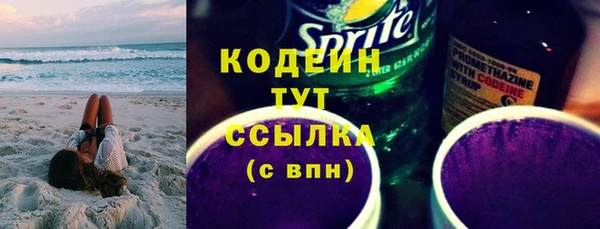 эйфоретик Арсеньев