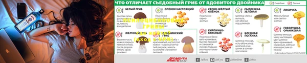 винт Нефтегорск