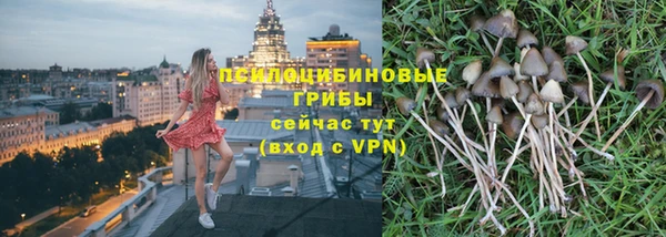 эйфоретик Арсеньев